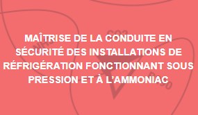 MAÎTRISE DE LA CONDUITE EN SÉCURITÉ DES INSTALLATIONS MAÎTRISE DE LA CONDUITE EN SÉCURITÉ DES INSTALLATIONS